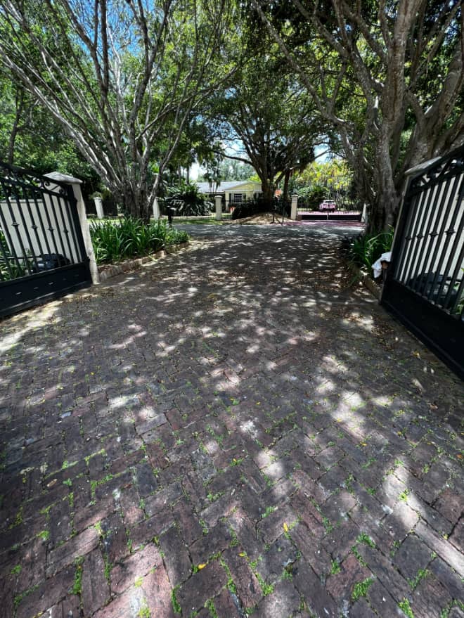 Driveway cleaning