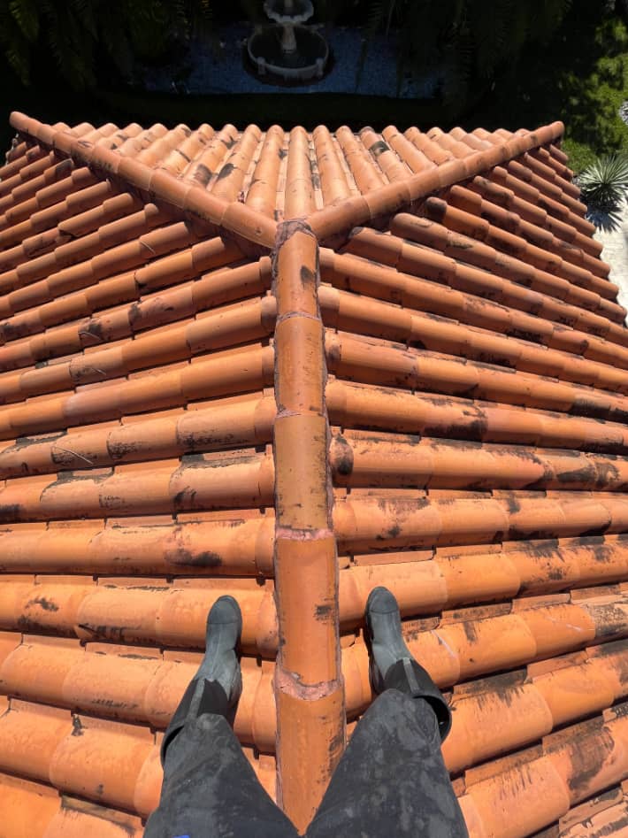 Roof cleaning
