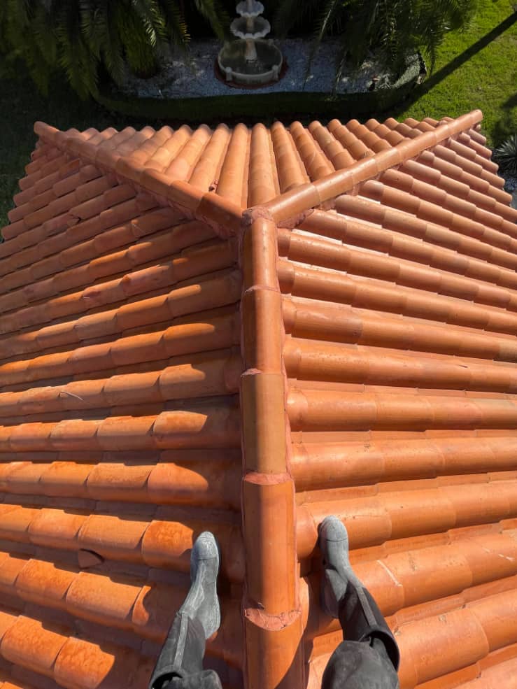 Roof cleaning
