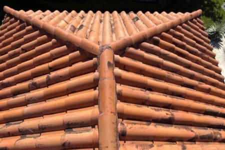Tile Roof Cleaning in West Palm Beach, FL: How to Safely Remove Black Streaks and Algae