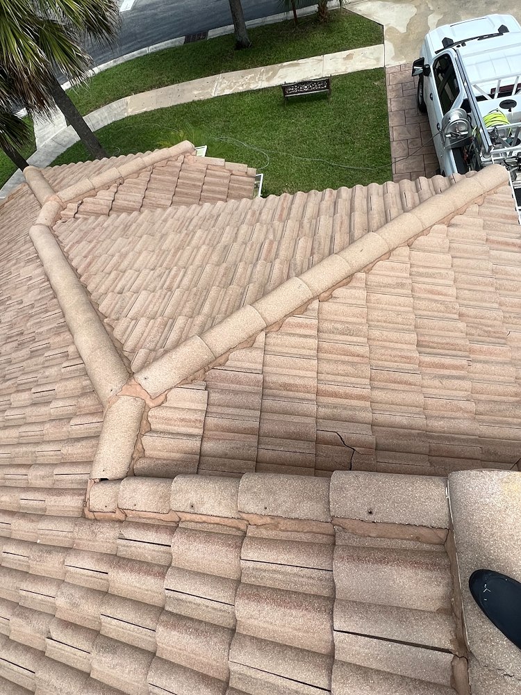 High quality Roof Cleaning performed in Wellington, Florida